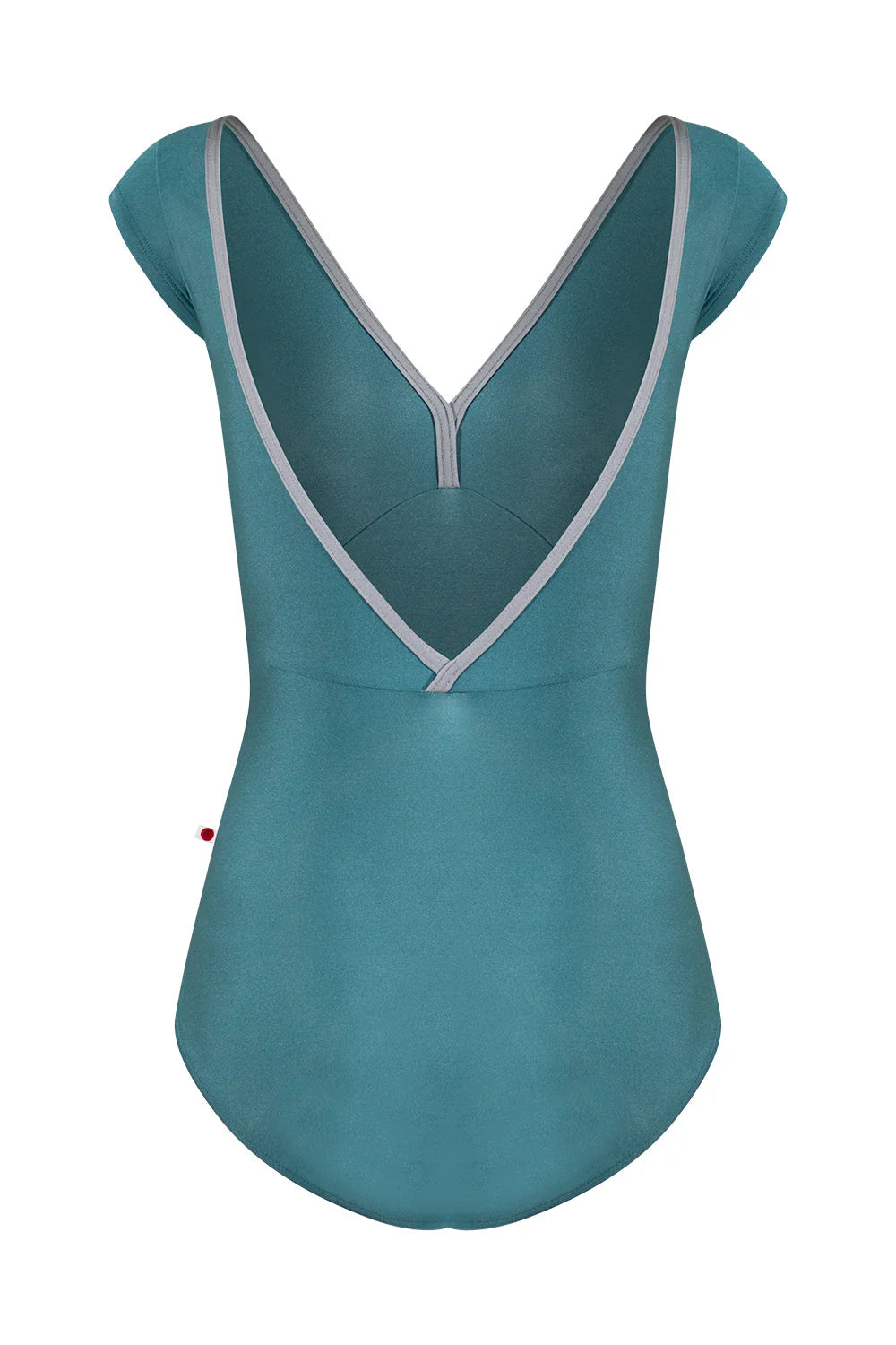 Alicia Cap Sleeve Leotard - Frost